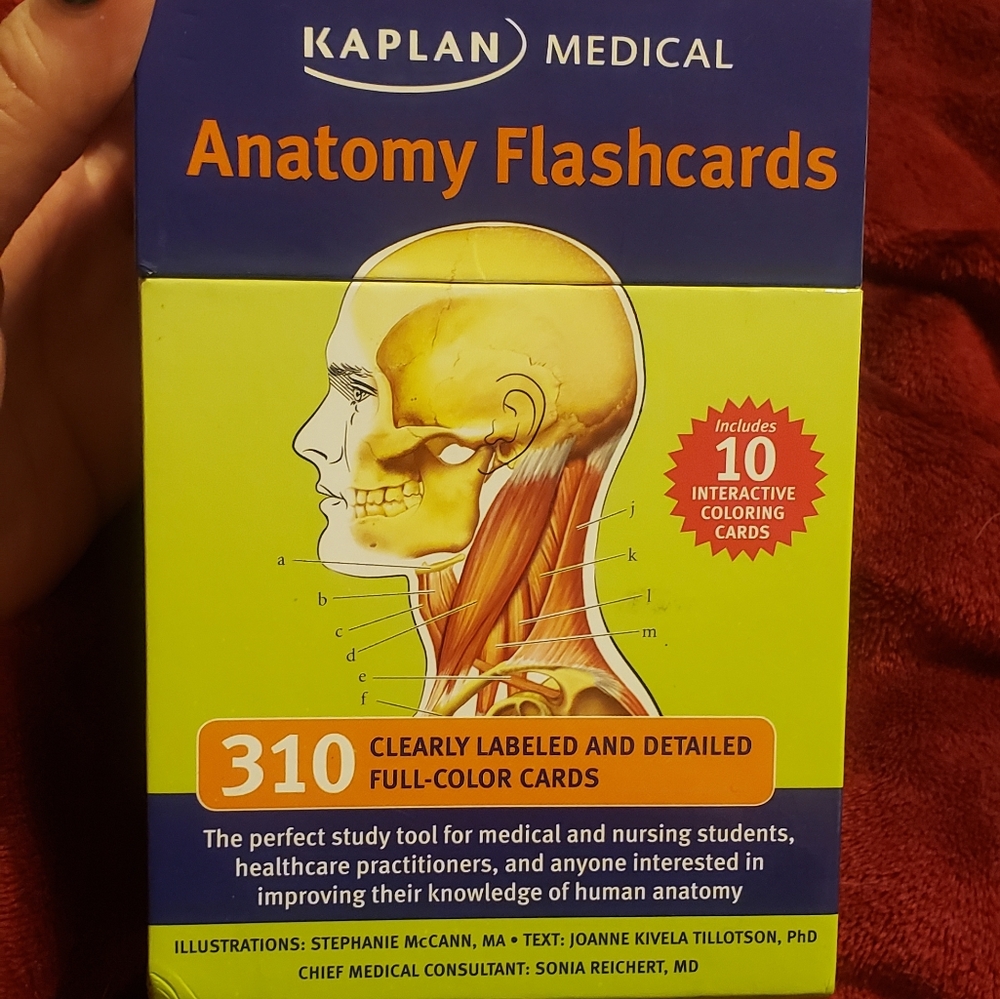 Kaplan Anatomy Flashcards